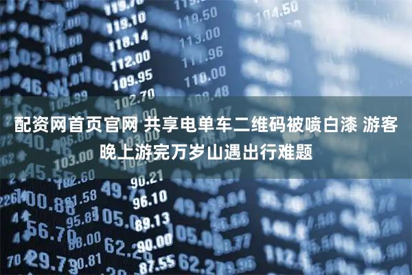 配资网首页官网 共享电单车二维码被喷白漆 游客晚上游完万岁山遇出行难题